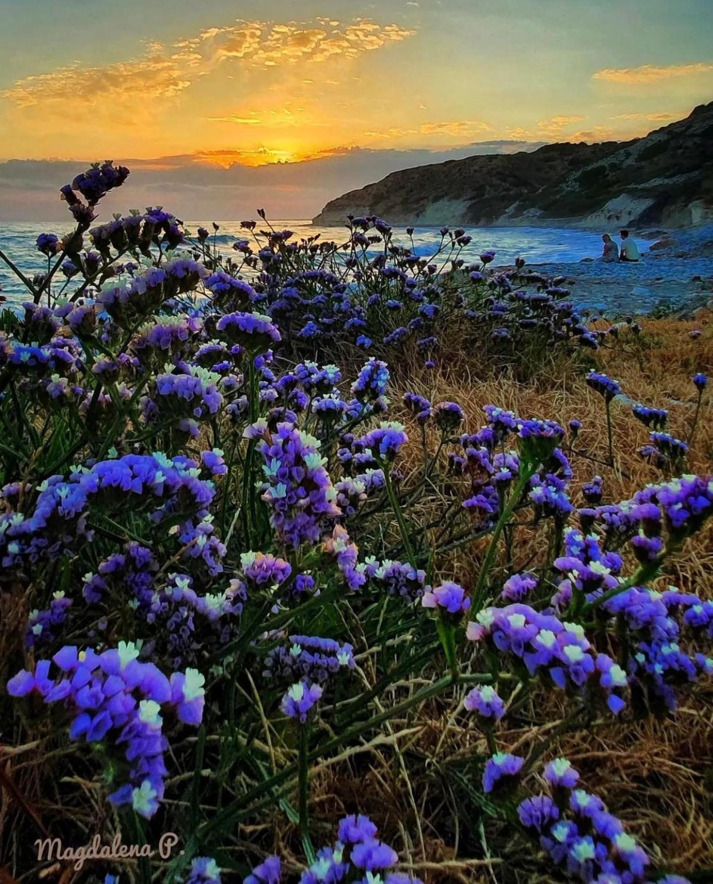 Governors Beach Panayiotis Apart otel Dış mekan fotoğraf
